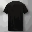 5.webp
