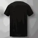 5.webp
